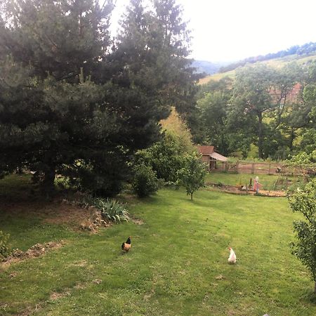 Gites De Gobertier Saint-Alban-d'Ay Zewnętrze zdjęcie