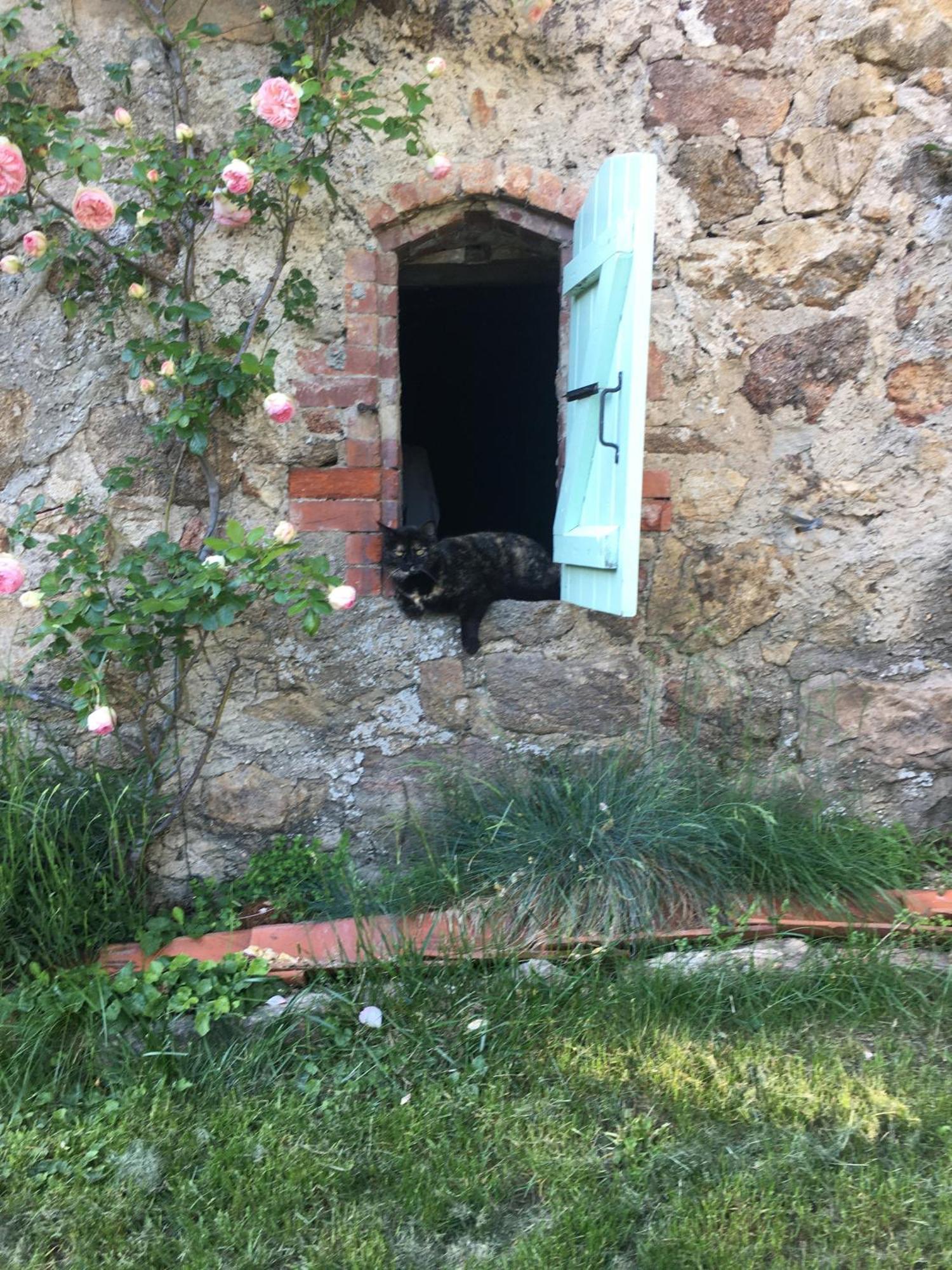 Gites De Gobertier Saint-Alban-d'Ay Zewnętrze zdjęcie